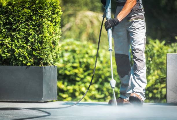 Best Soft Washing  in Doral, FL