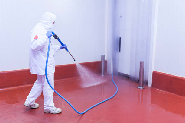 Best Warehouse Cleaning  in Doral, FL